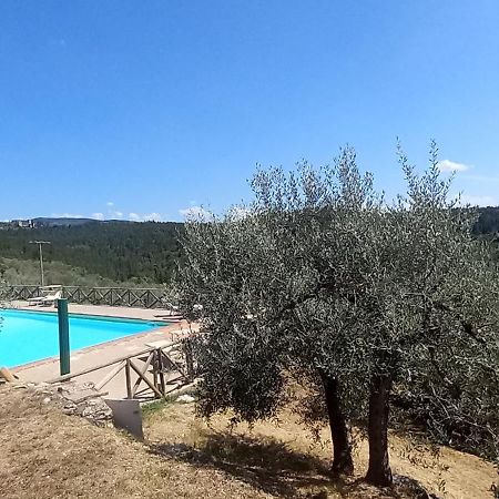 Borgo Nel Chianti Istrice Con Piscina Tennis E Wifi Castellina in Chianti Bagian luar foto