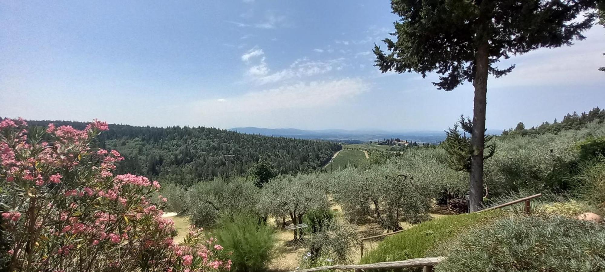 Borgo Nel Chianti Istrice Con Piscina Tennis E Wifi Castellina in Chianti Bagian luar foto