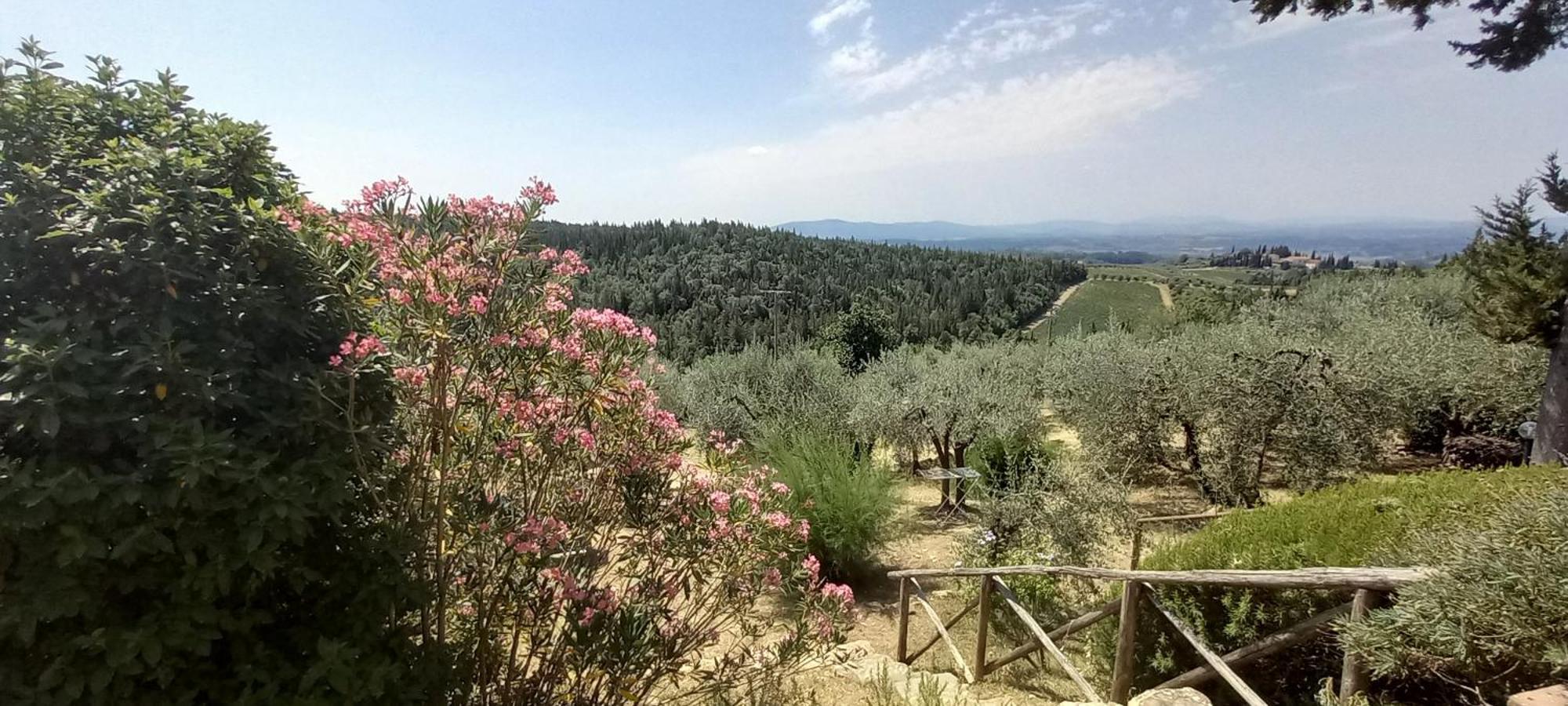 Borgo Nel Chianti Istrice Con Piscina Tennis E Wifi Castellina in Chianti Bagian luar foto
